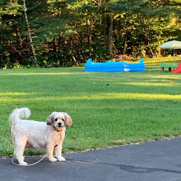 My Best Friend Forever In My Heart 💕 - Picture 11 of 17